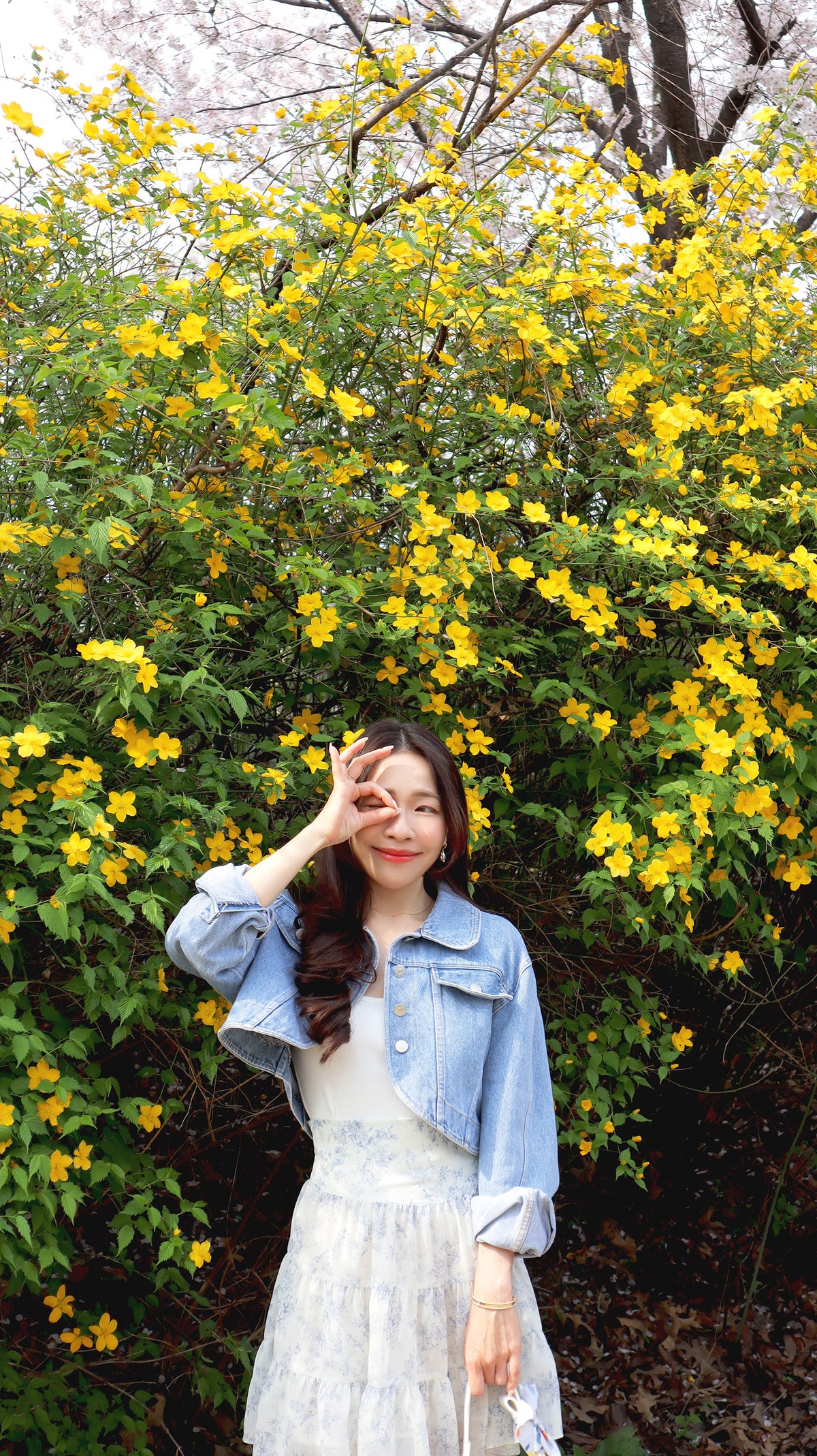 Petite Cropped Denim Jacket