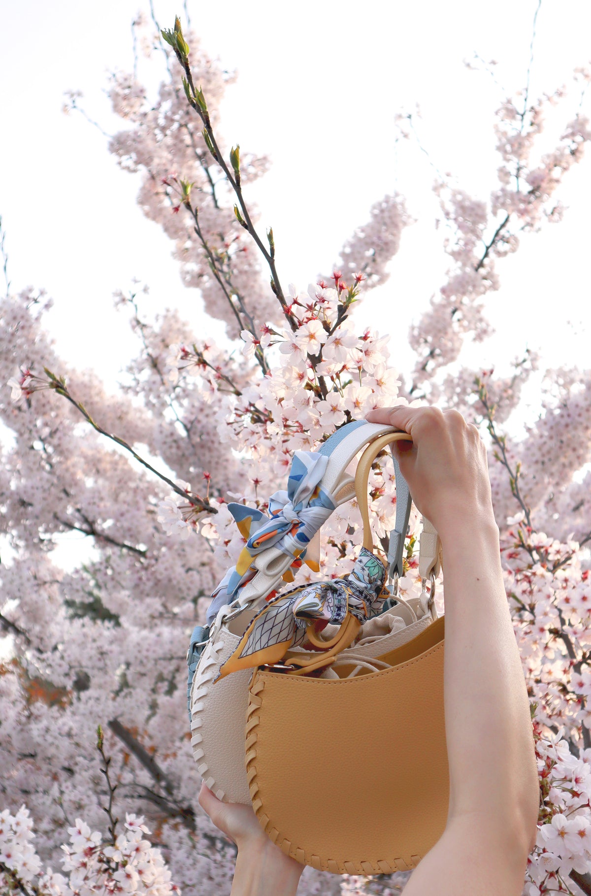 The Blossom Moon Bag