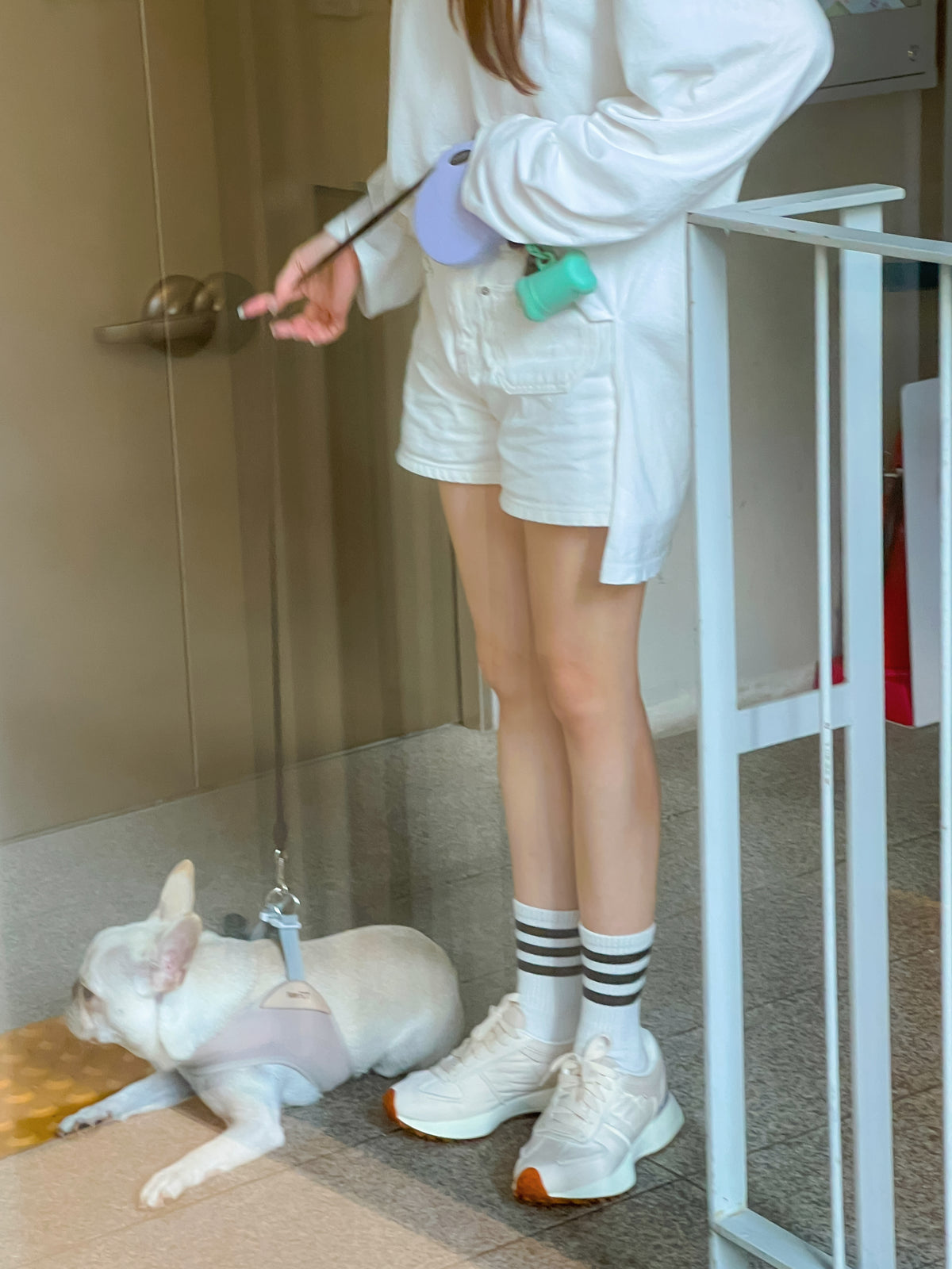 The Casual Routine Sneakers
