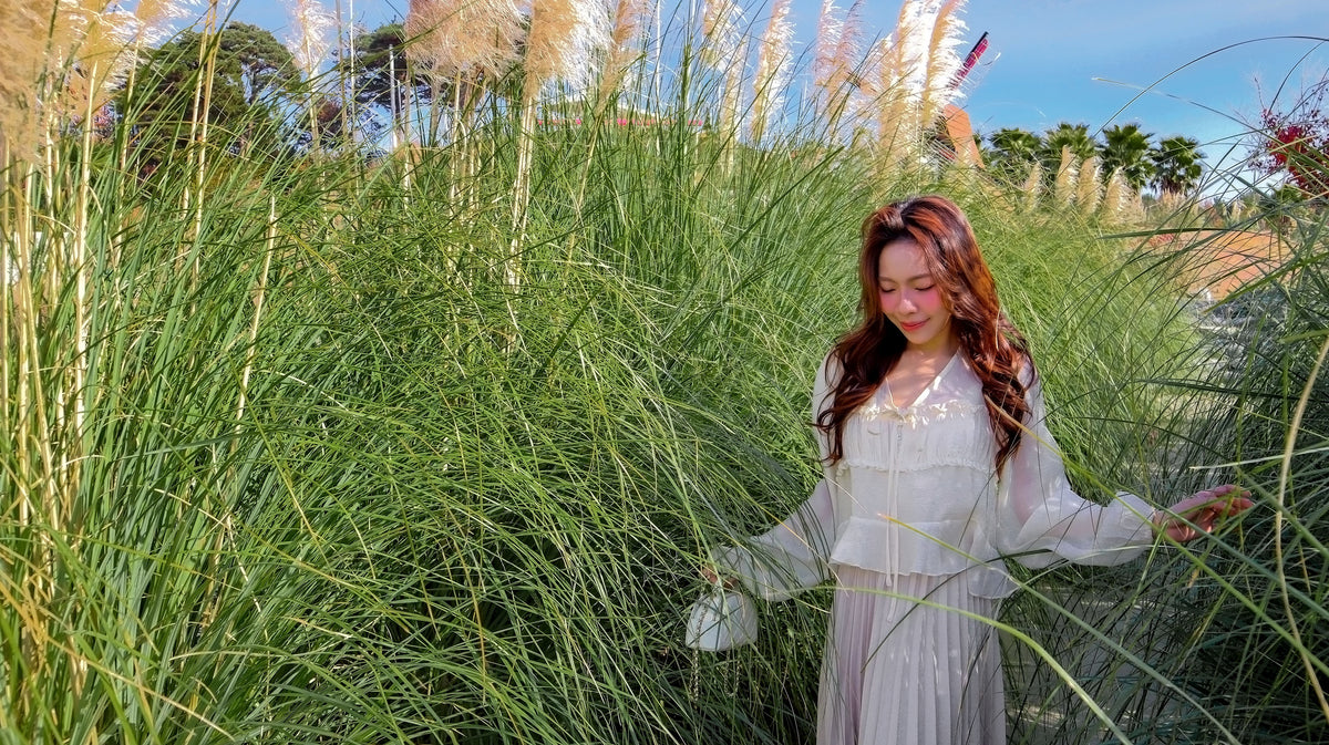 The Cast Light Sheer Blouse