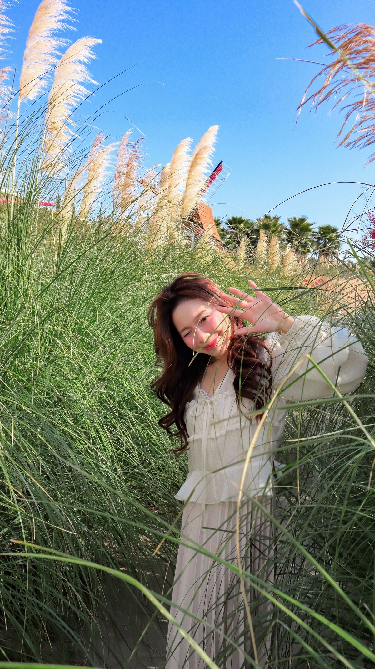 The Cast Light Sheer Blouse