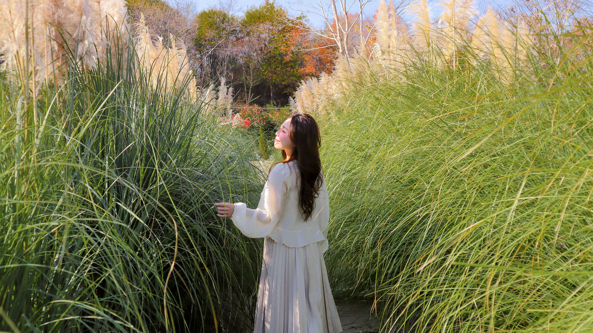 The Cast Light Sheer Blouse