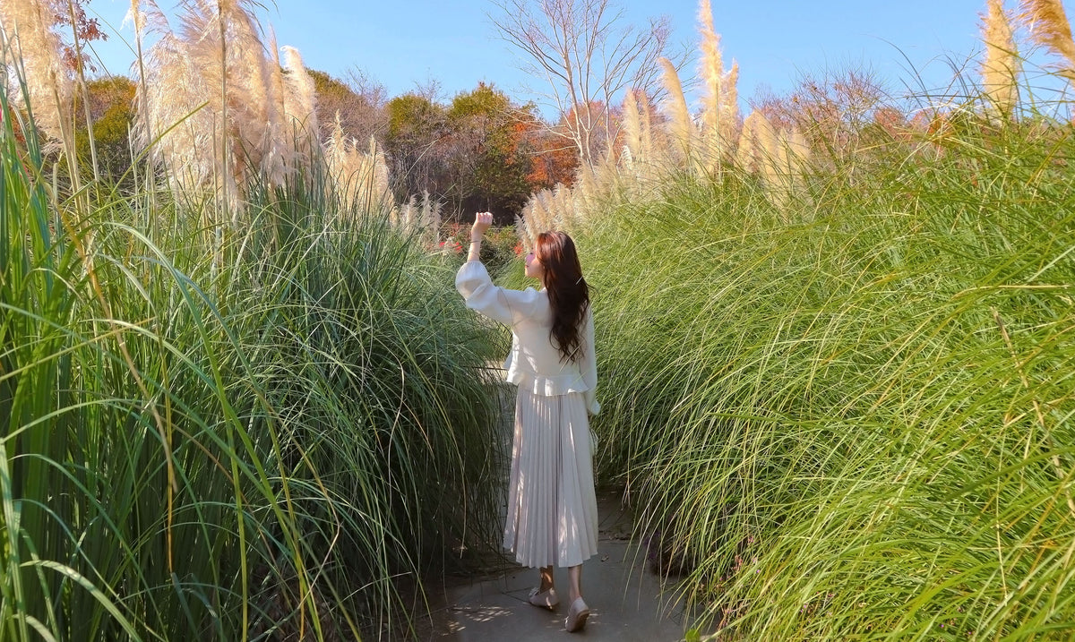 The Cast Light Sheer Blouse