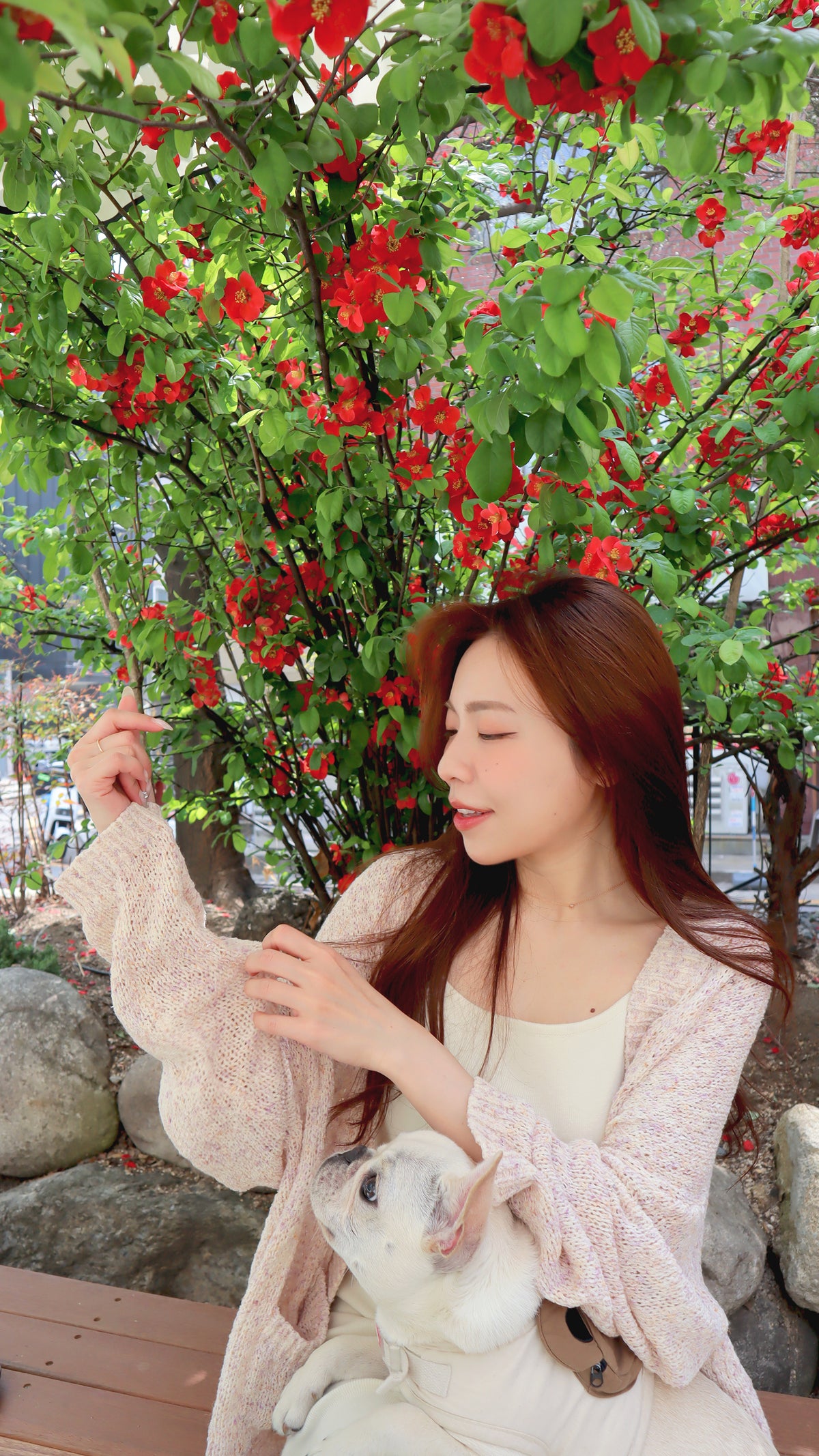 < M A D E > Maple Waves Knitted Cardigan