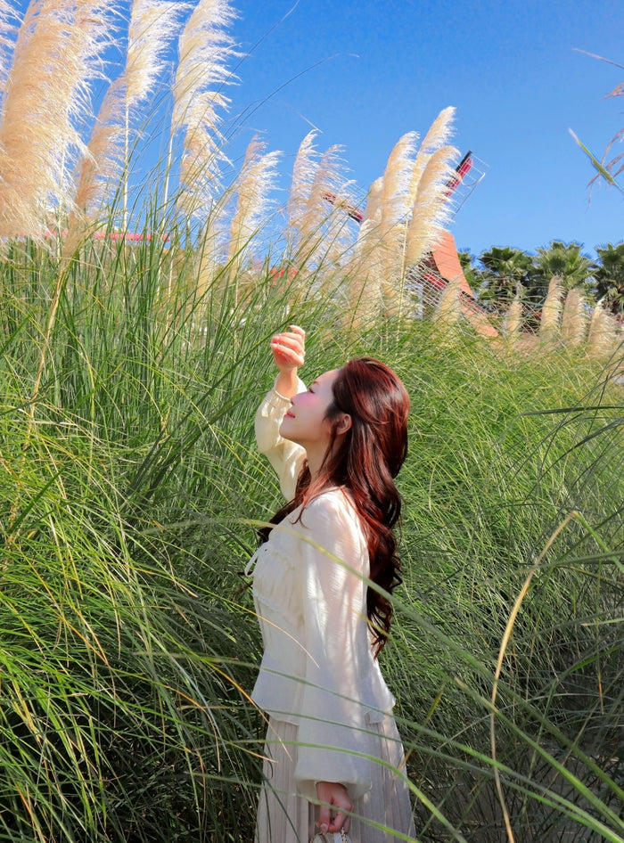 The Cast Light Sheer Blouse