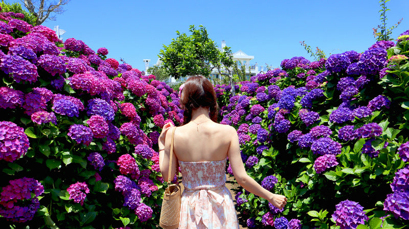 < M A D E > The Rose Garden Tube Top